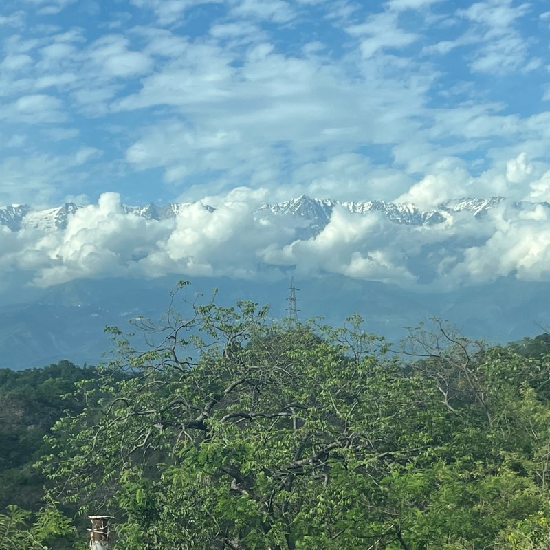 Bell Run to Fit logo