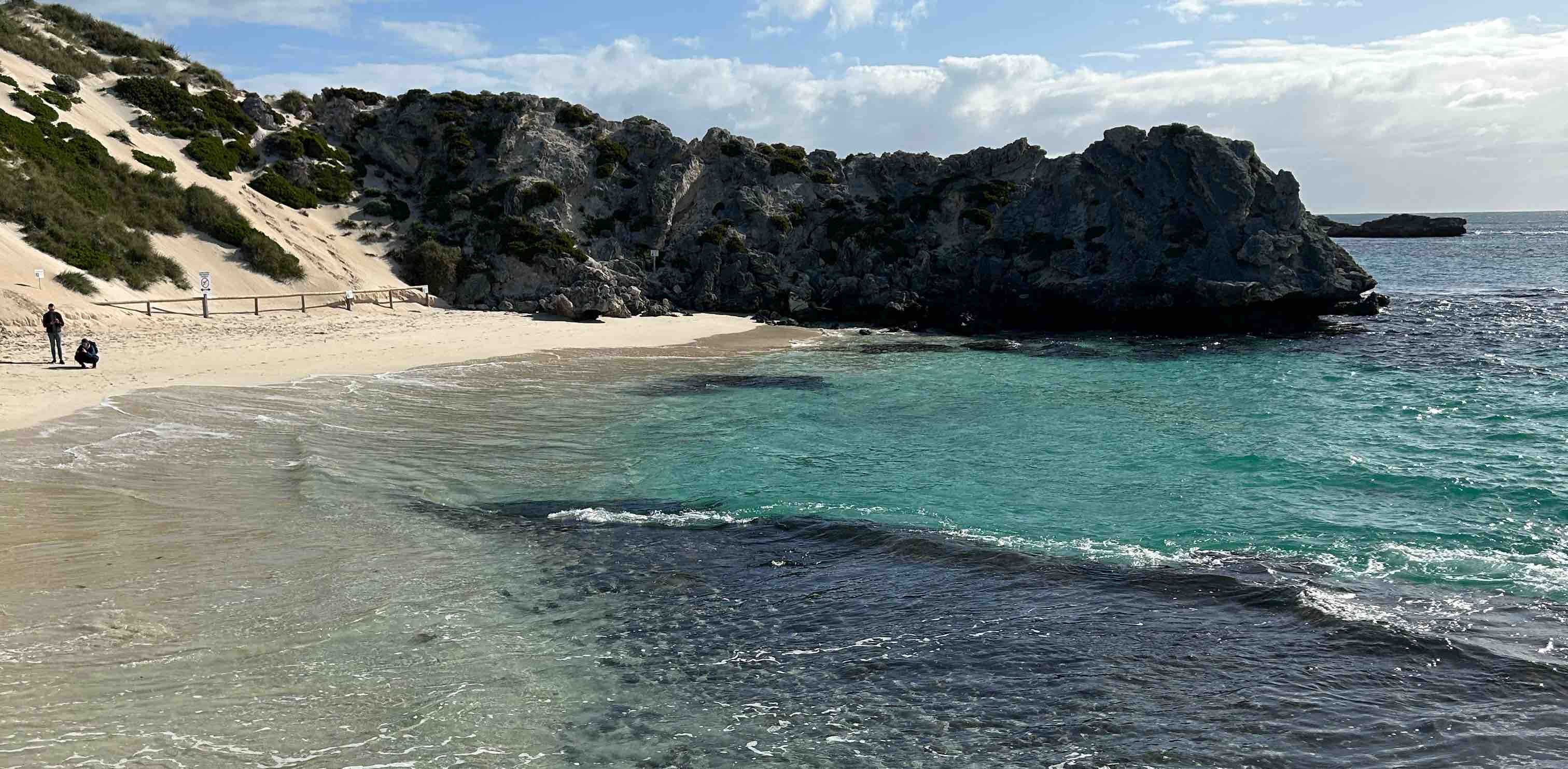 WALKS/RUNS & ANYTHING FITNESS! banner