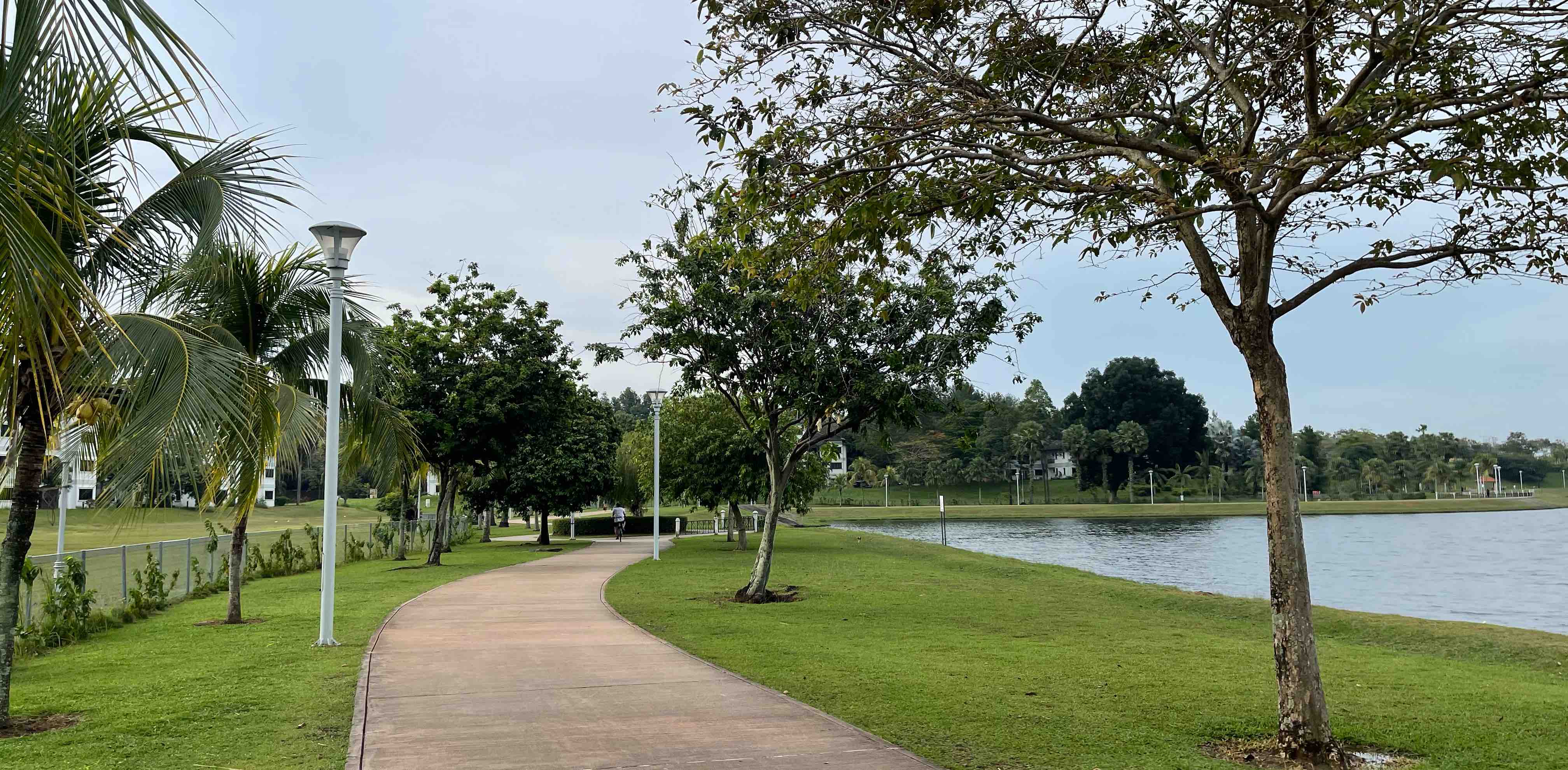 SMALL Steps BIG Journey banner