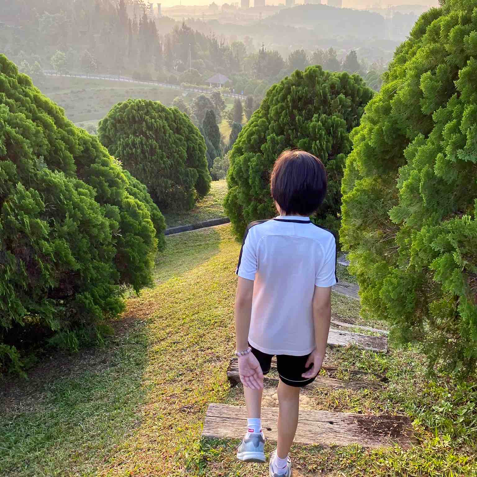 SMALL Steps BIG Journey logo