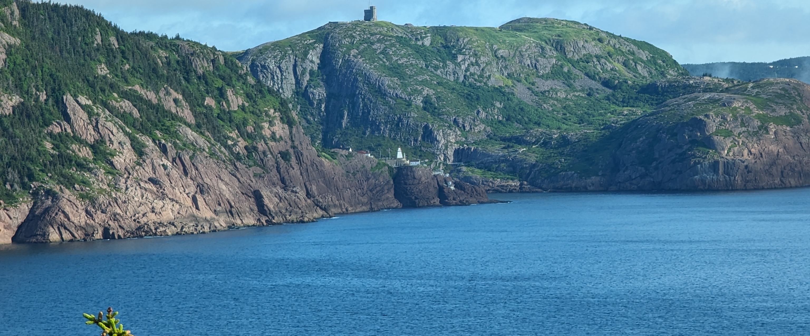 Walking Accountability Group banner