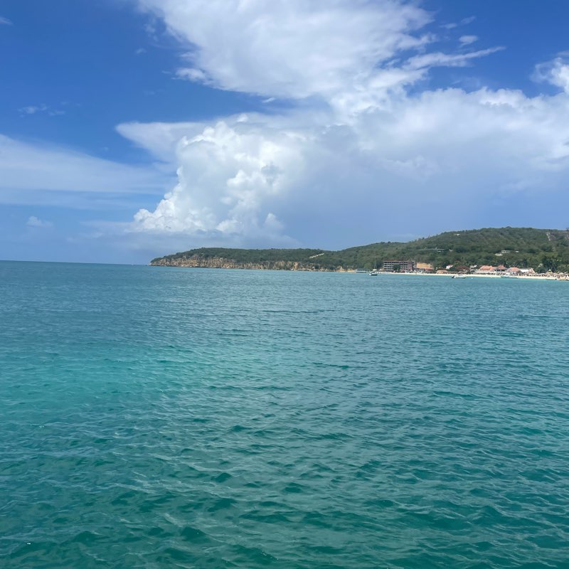 Operation belleh must go logo