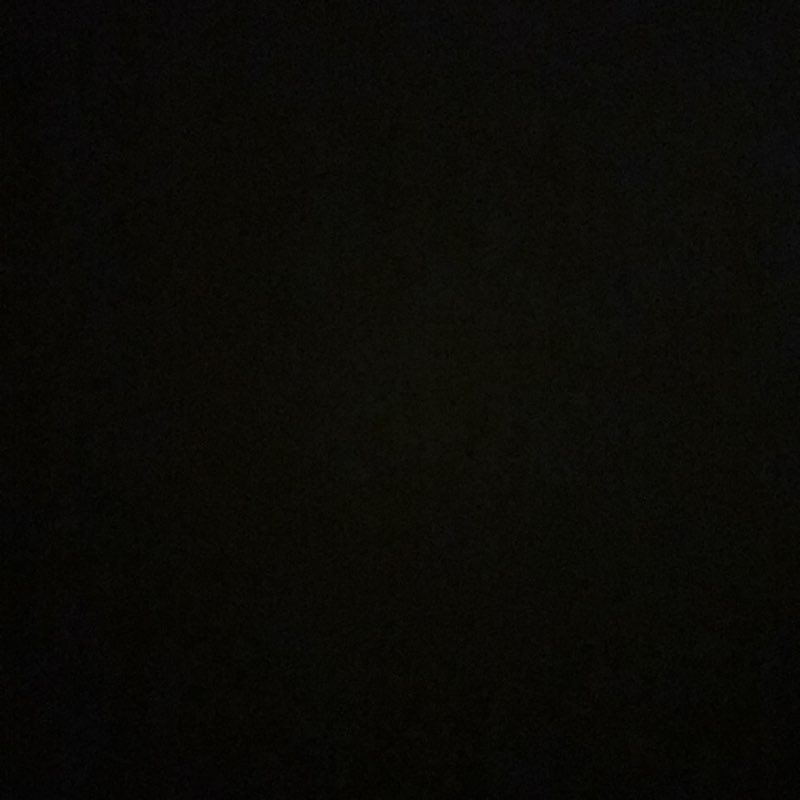 Future Skinny Girls Club logo