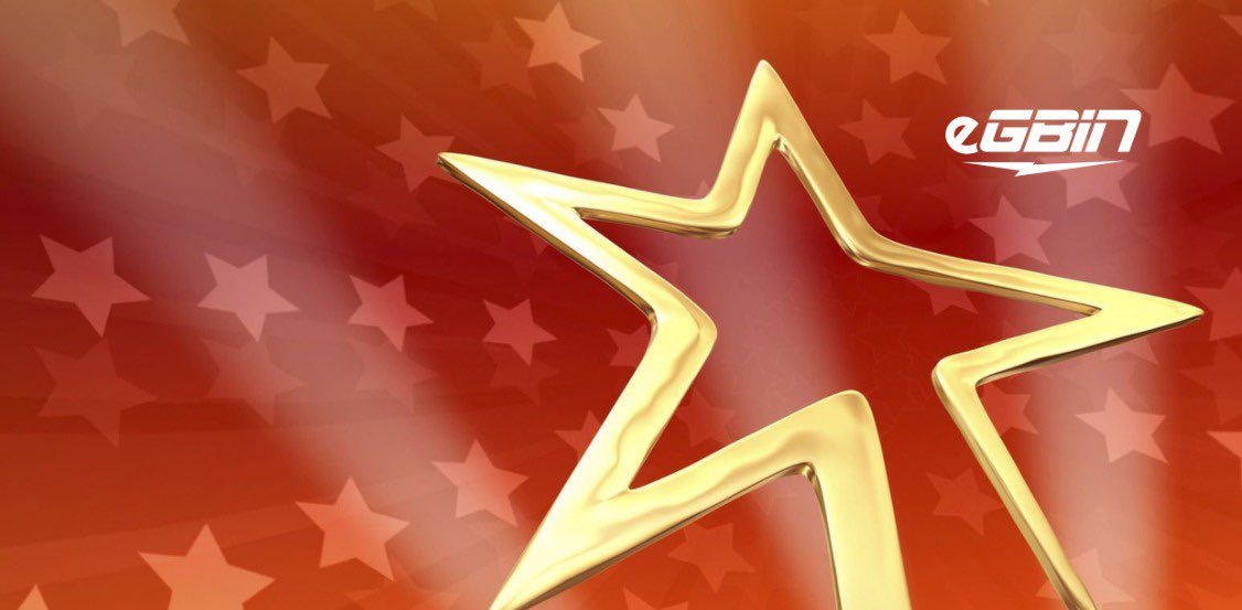 EGBIN POWER PLC banner