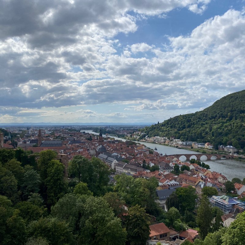 Pasha’s Kingdom logo