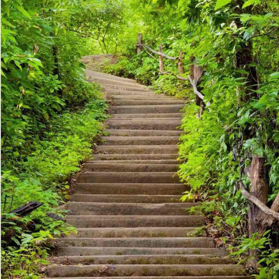 The Fit Girls 🏃‍♀️ logo