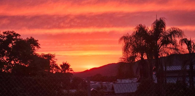 walking Divas banner