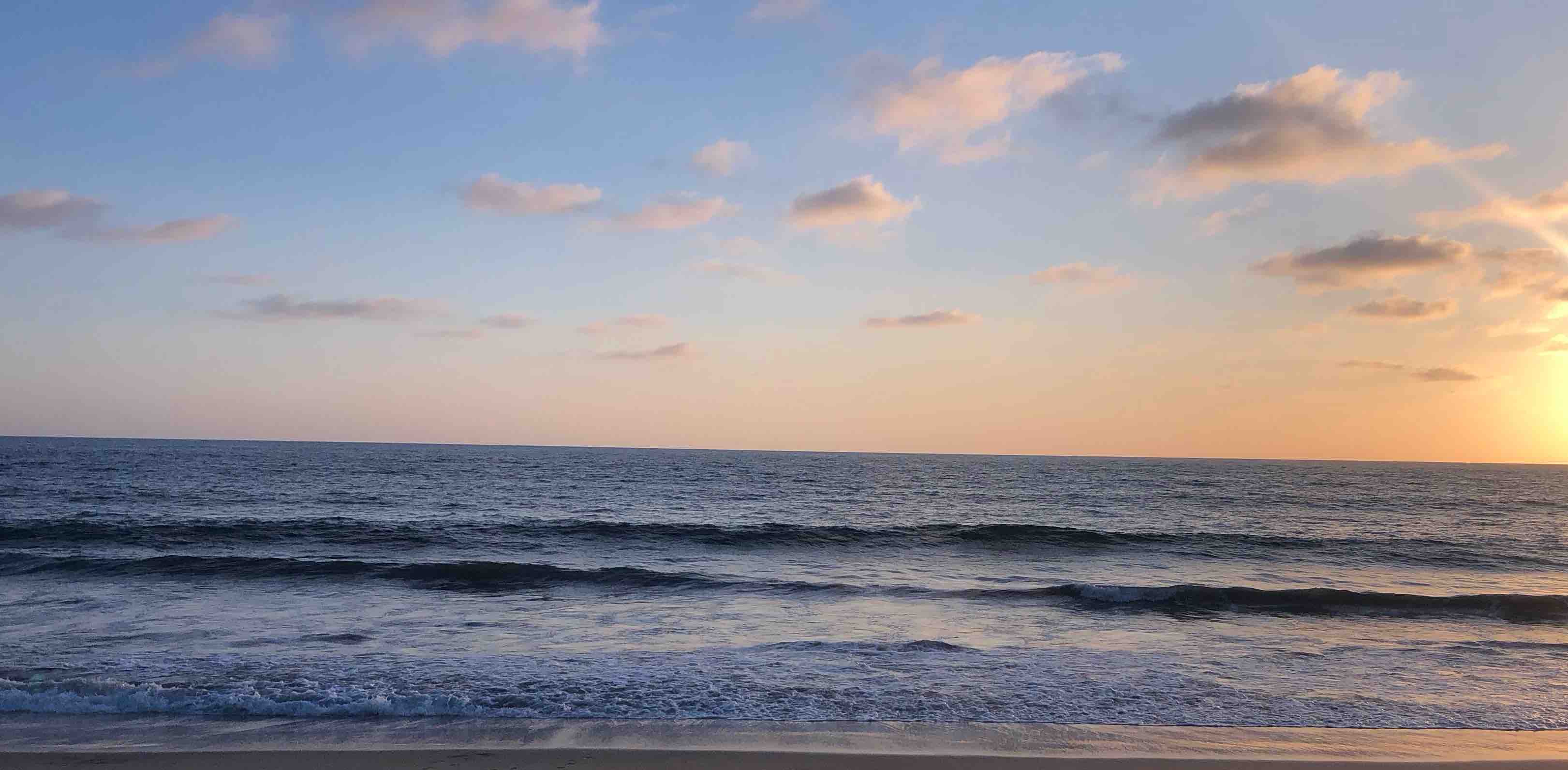 San Marcos Bears 🐻 banner