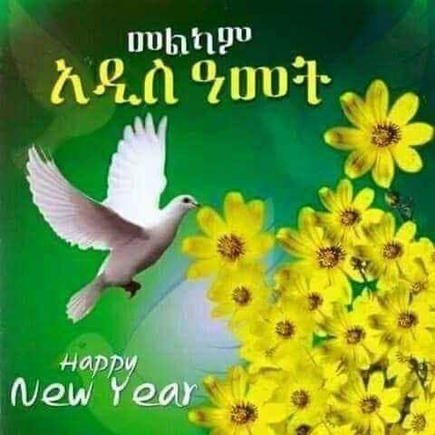 GEBREKidan sisters logo