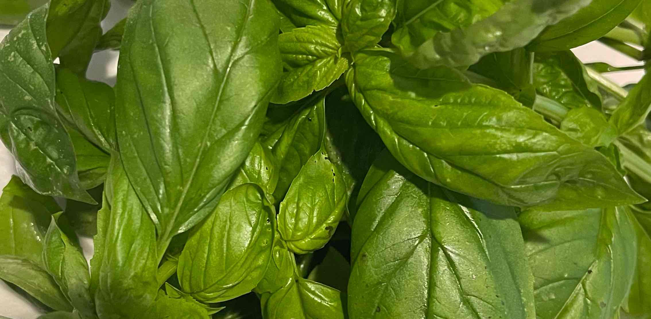 GEBREKidan sisters banner