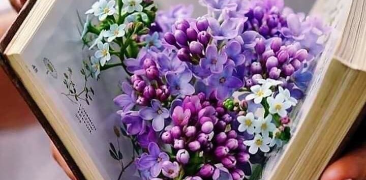 Excel Steppers banner