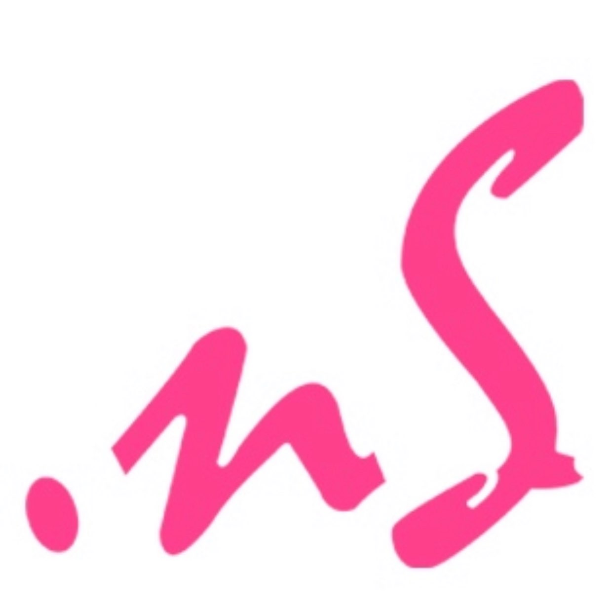 NASHIZENS logo