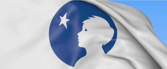 Dahnone unlimited banner