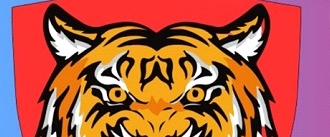 WDC Walkathon Tiger Group banner