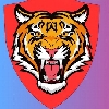WDC Walkathon Tiger Group logo