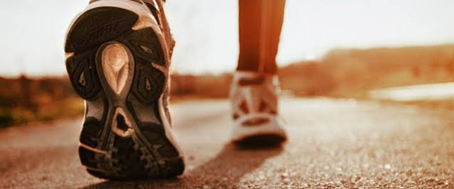 Alembic Stepathon 2.5 banner