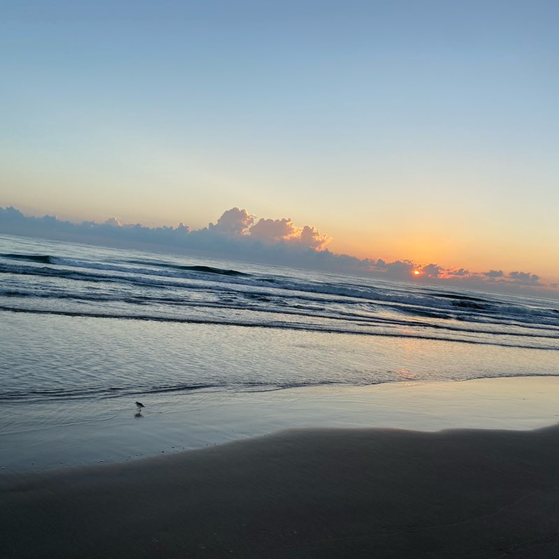 A por todo 💪🏻 logo