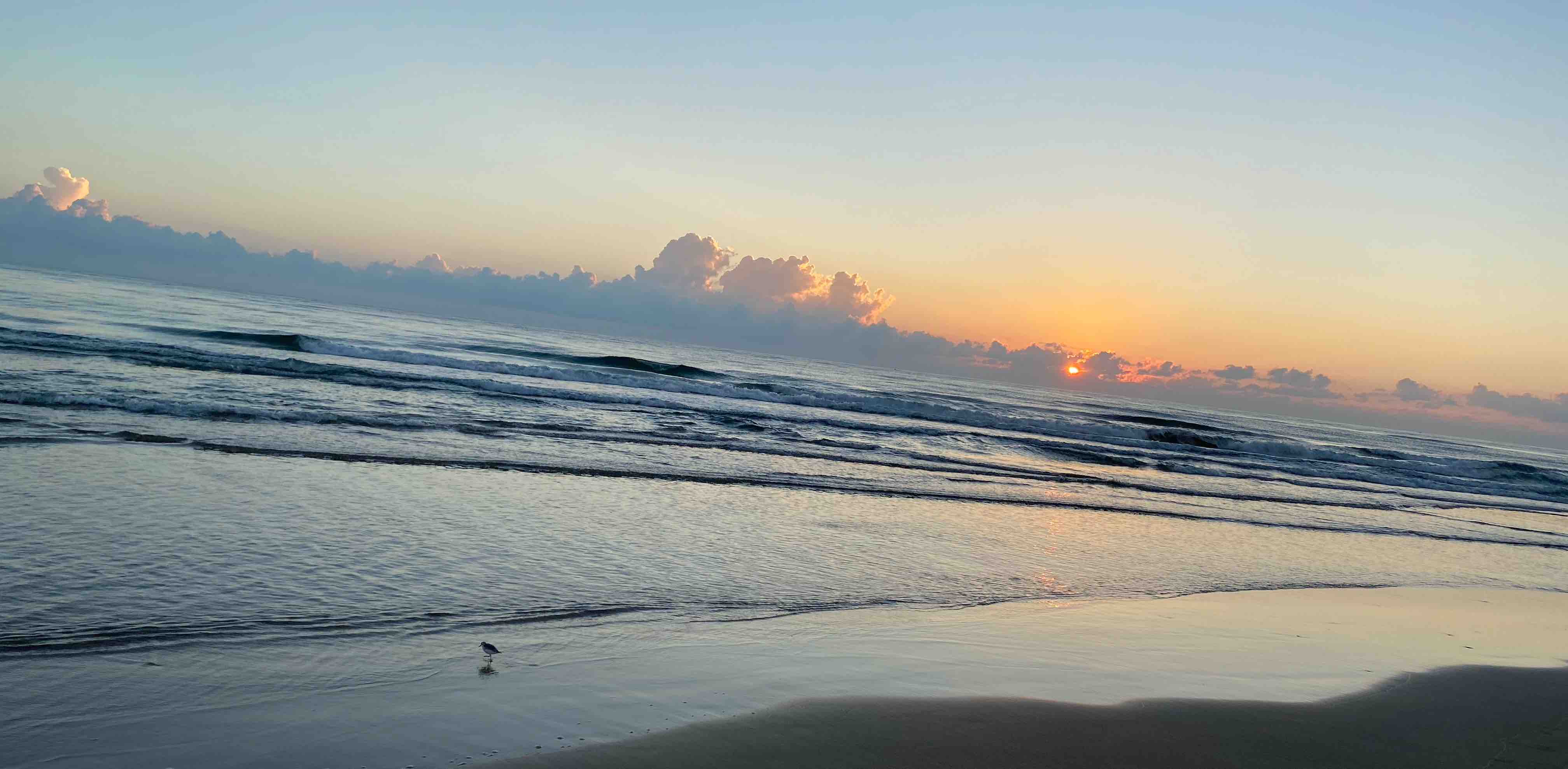 A por todo 💪🏻 banner