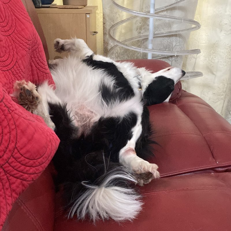 every step is a step closer logo