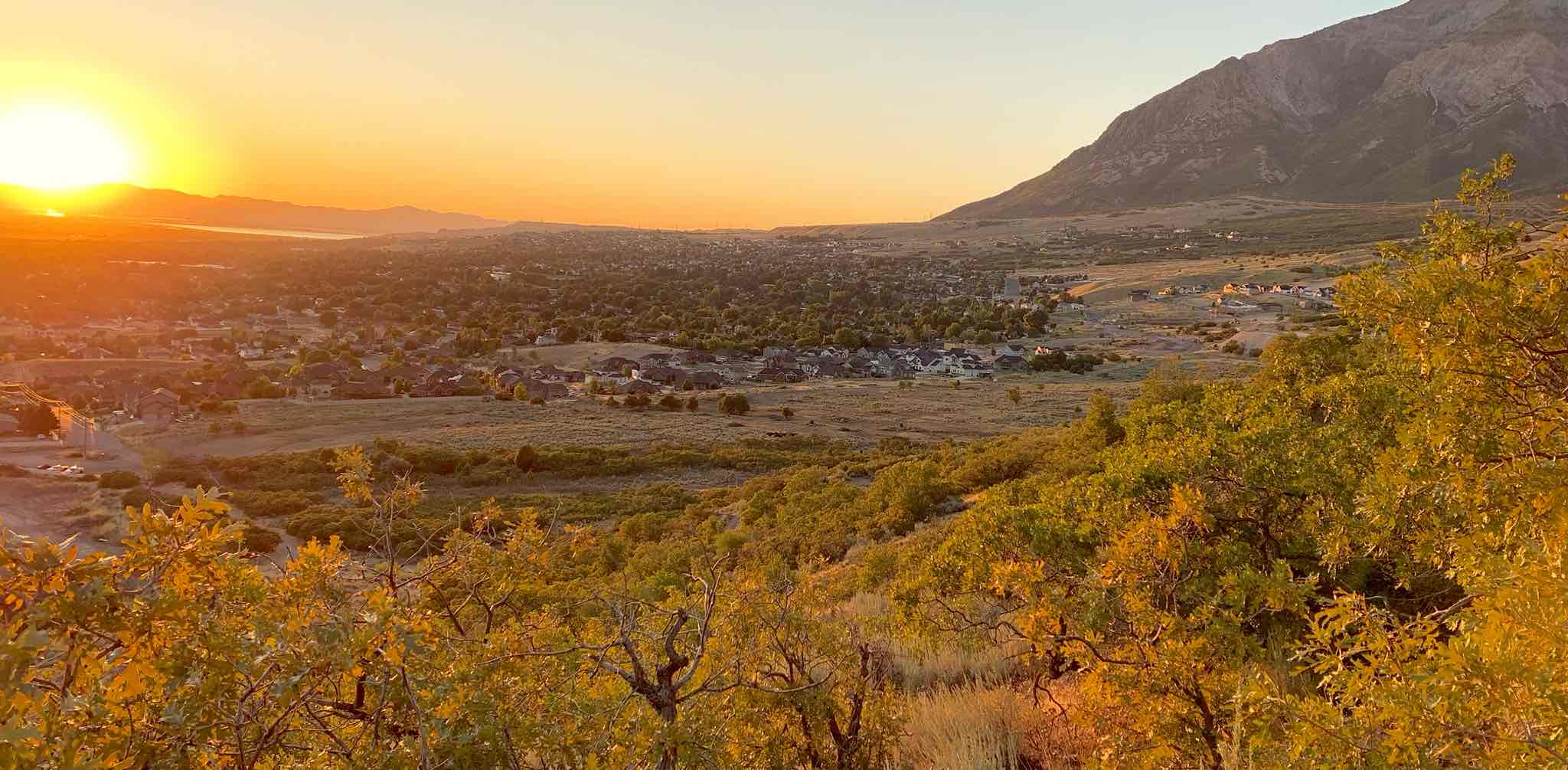Ben Lomond Views banner