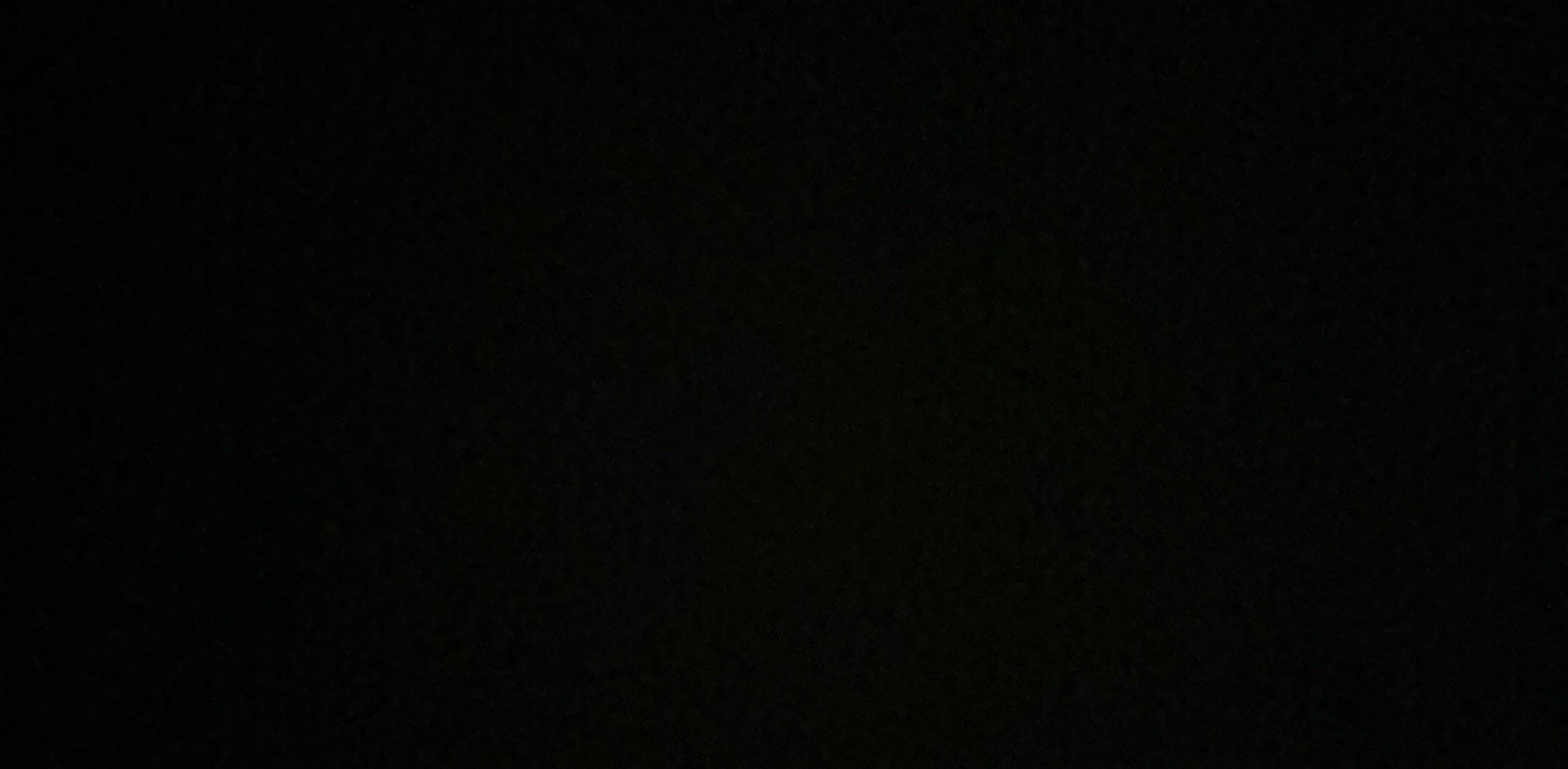 Los Panzones 2024 banner