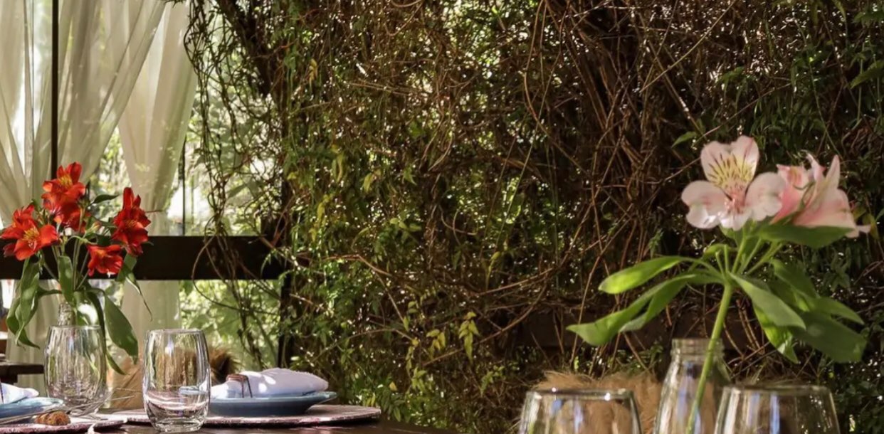 Vamos Caminhar banner