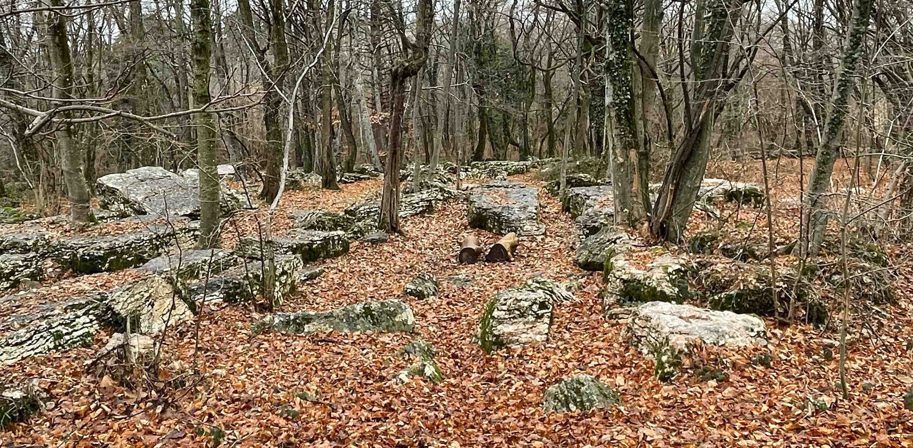 sempre in movimento banner