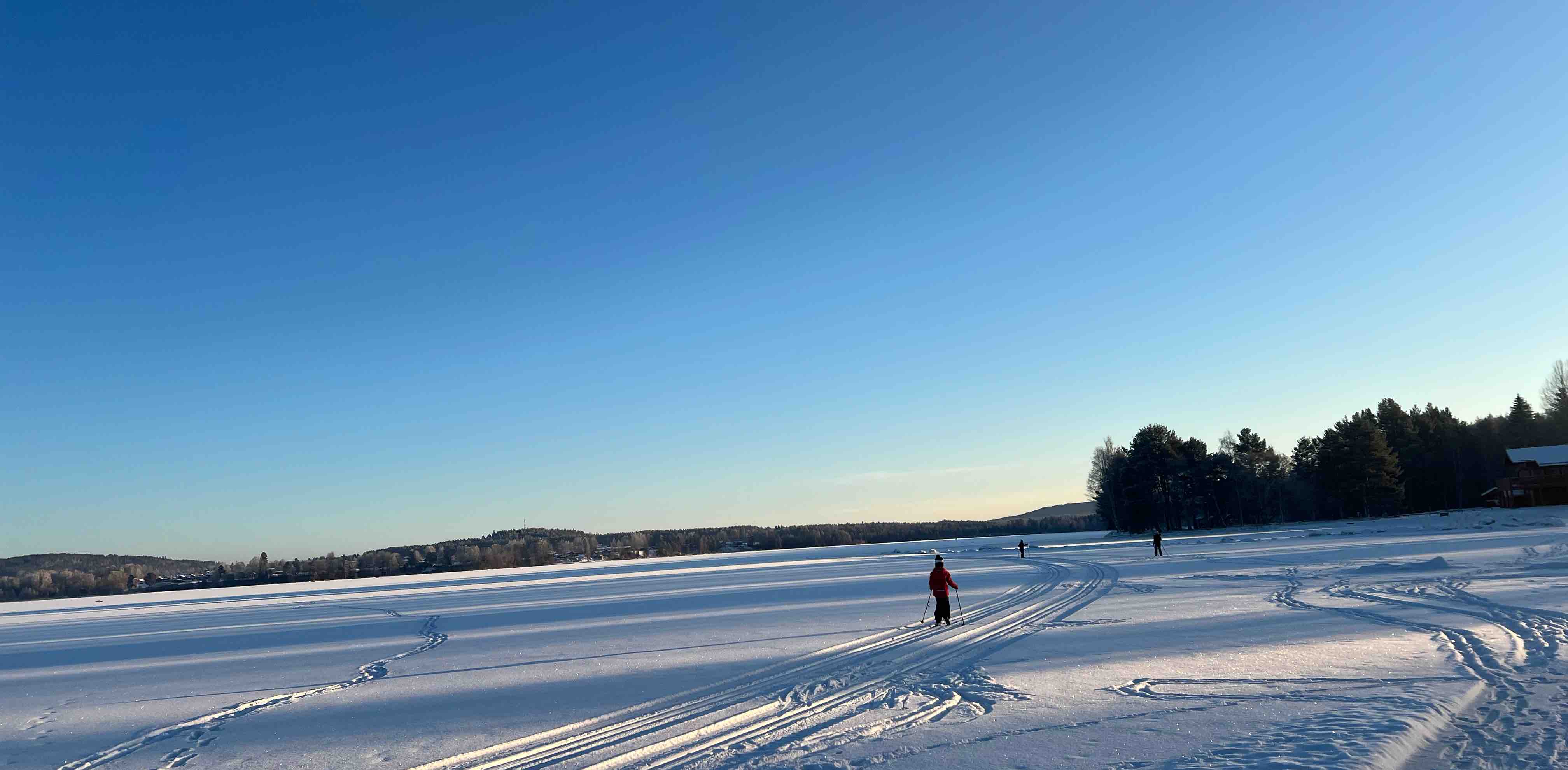 Anna, Patrik & Peter! 🤩🙌🏻 banner