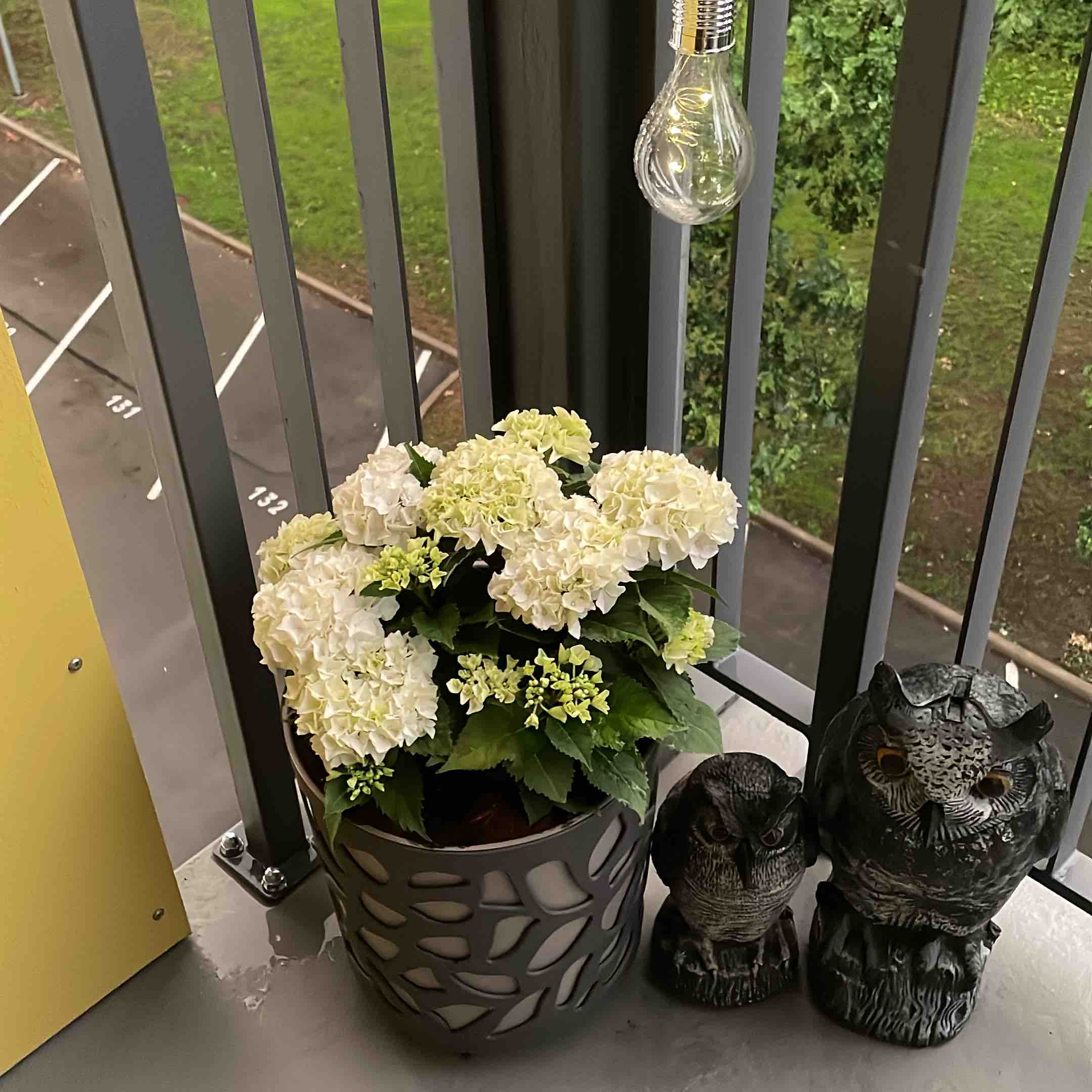 2024.gads R2 kustībā logo