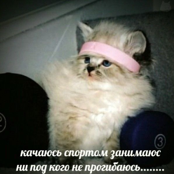 Оргиевская на спорте logo