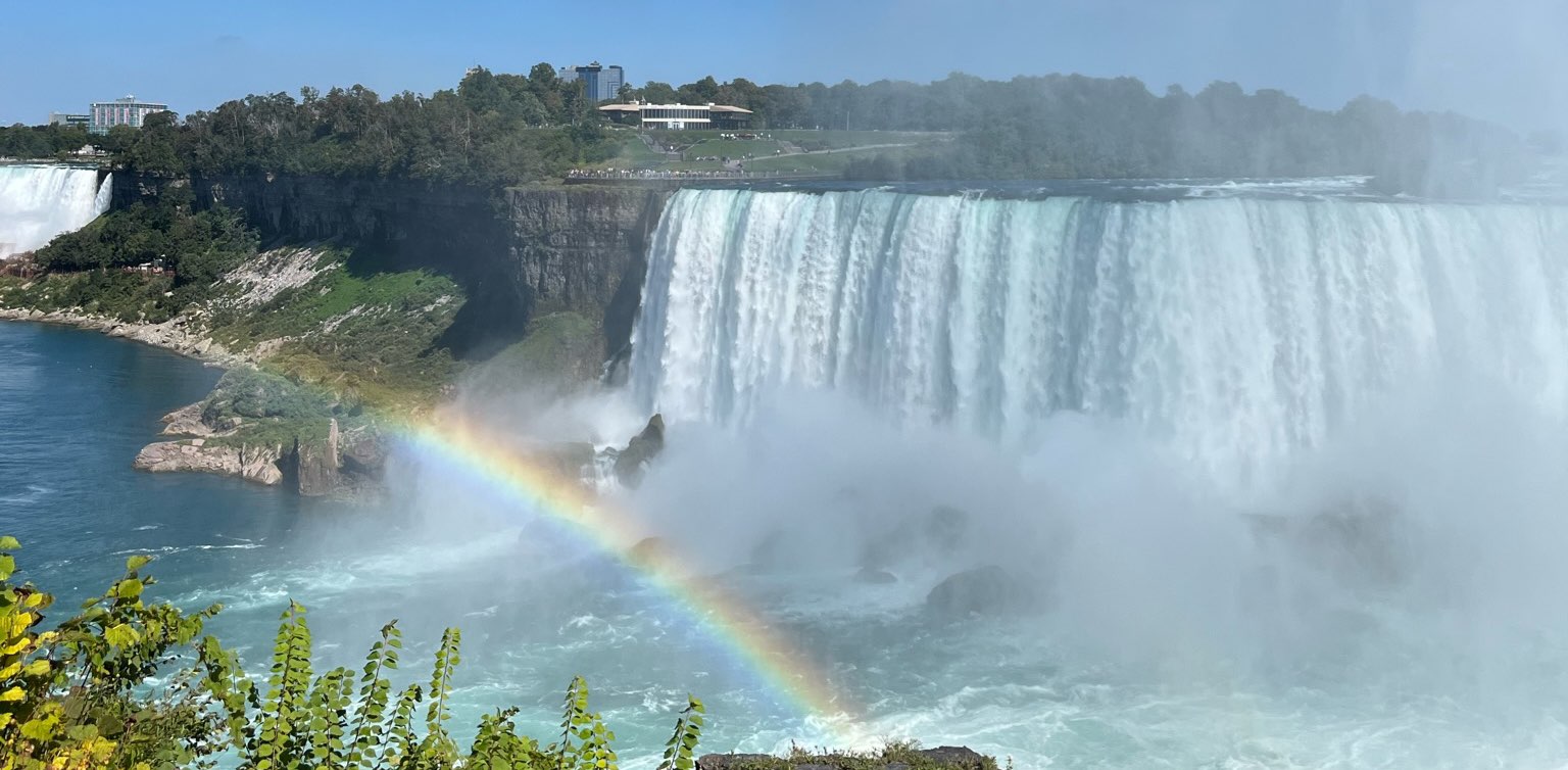 CDM & PIT Steppers banner