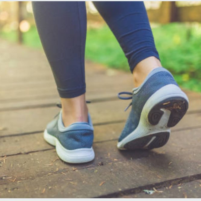 CDM & PIT Steppers logo