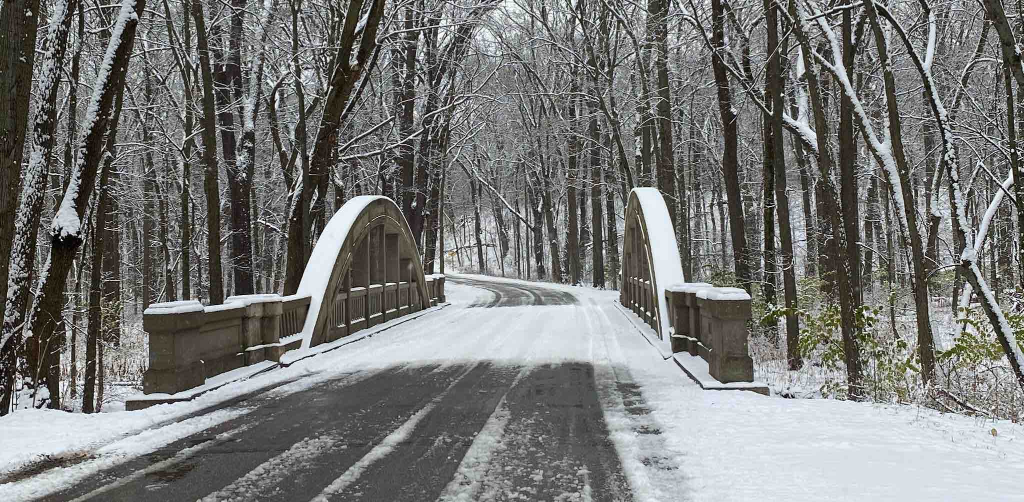 Let’s go for a walk banner