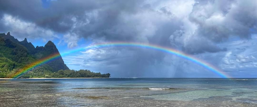 The Daniel Plan banner