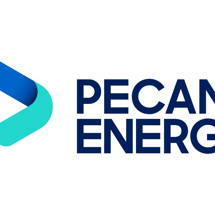 Pecan Wellness Challenge logo