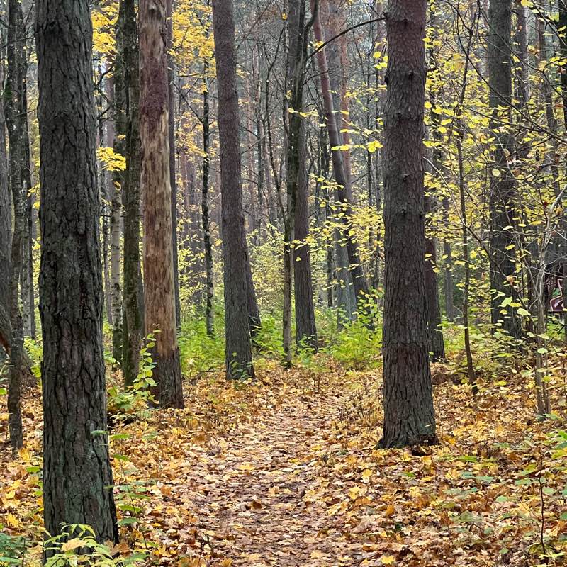 10k izaicinājums logo