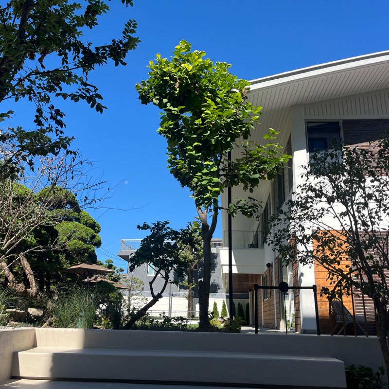 위워크(Wewalk) logo