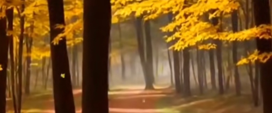 Synopsys Sri Lanka banner