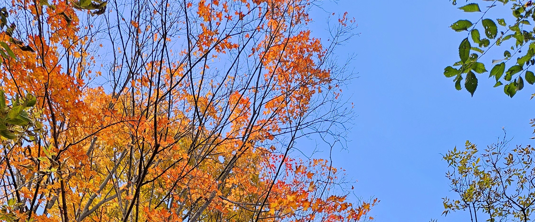 🌍AROUND THE WORLD🌎 banner