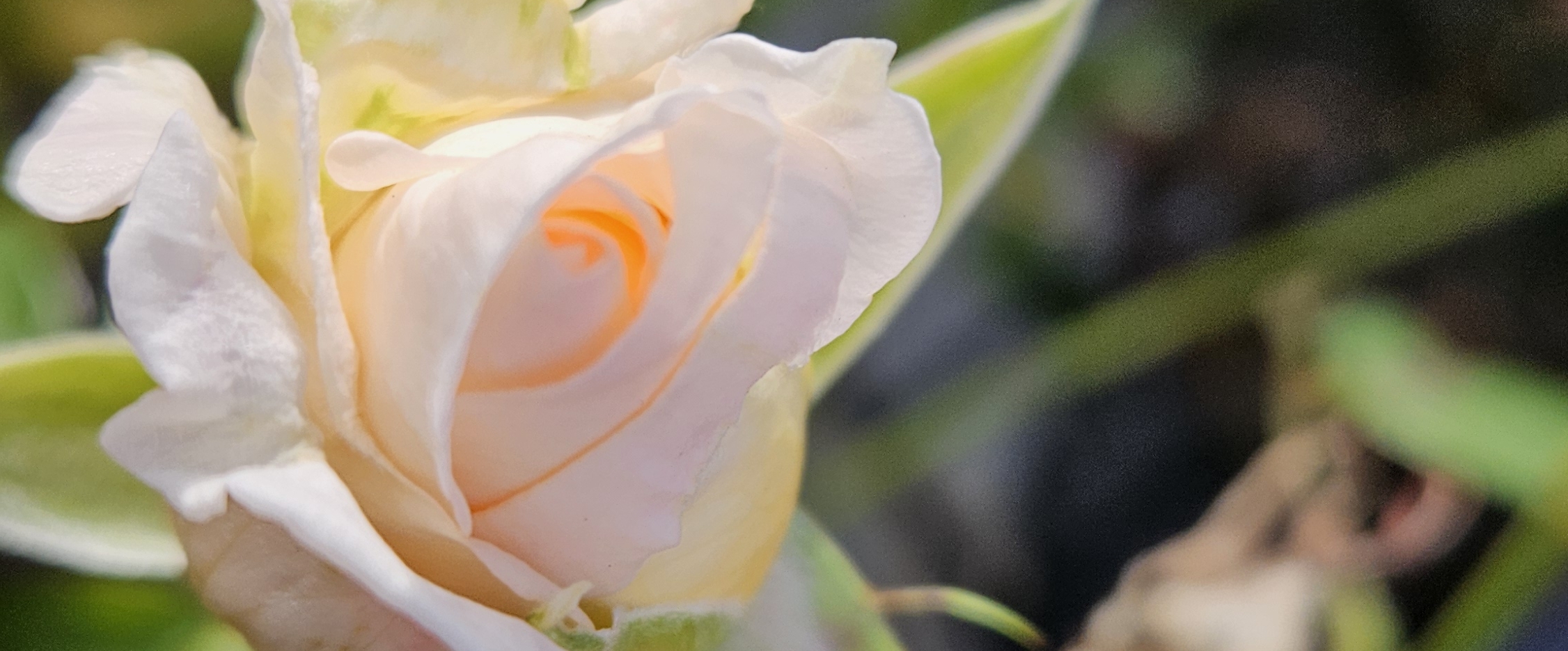 Команда Челябинскстата banner