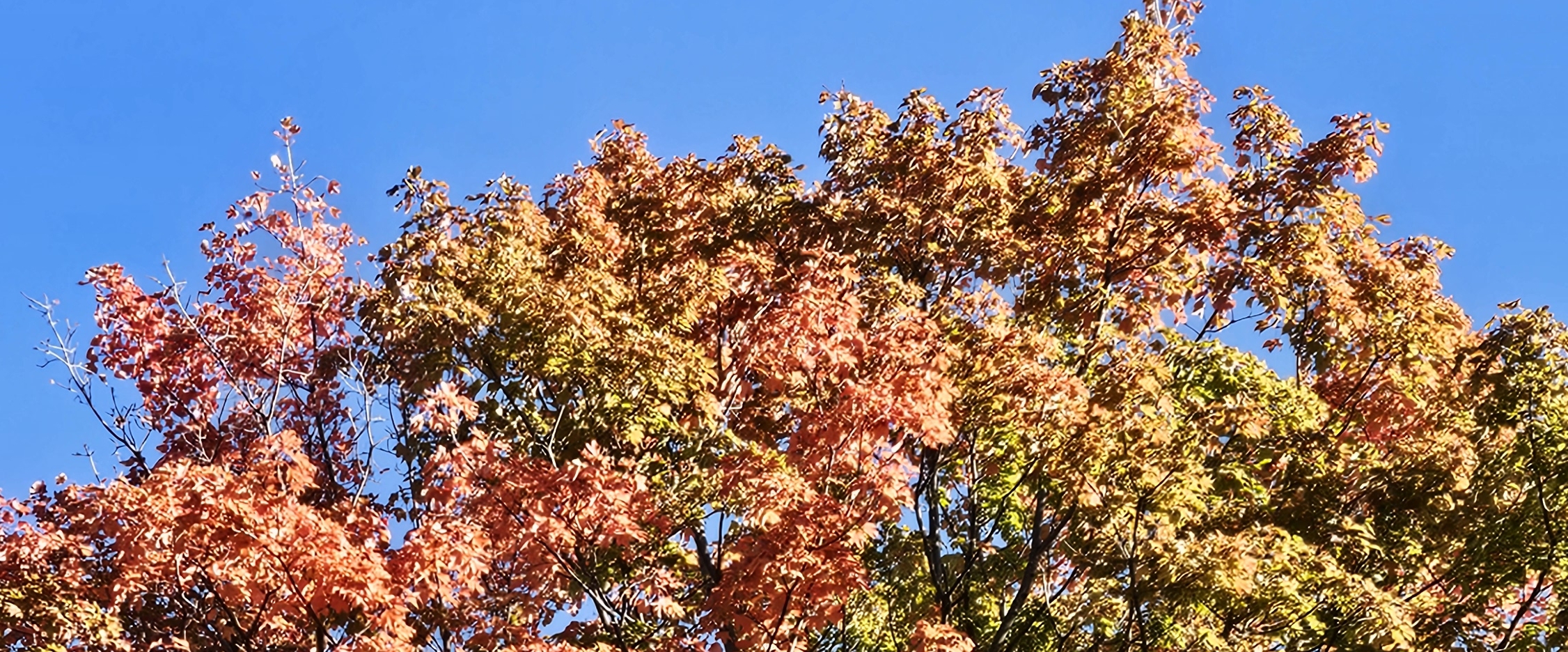 Наставник 12 группа banner