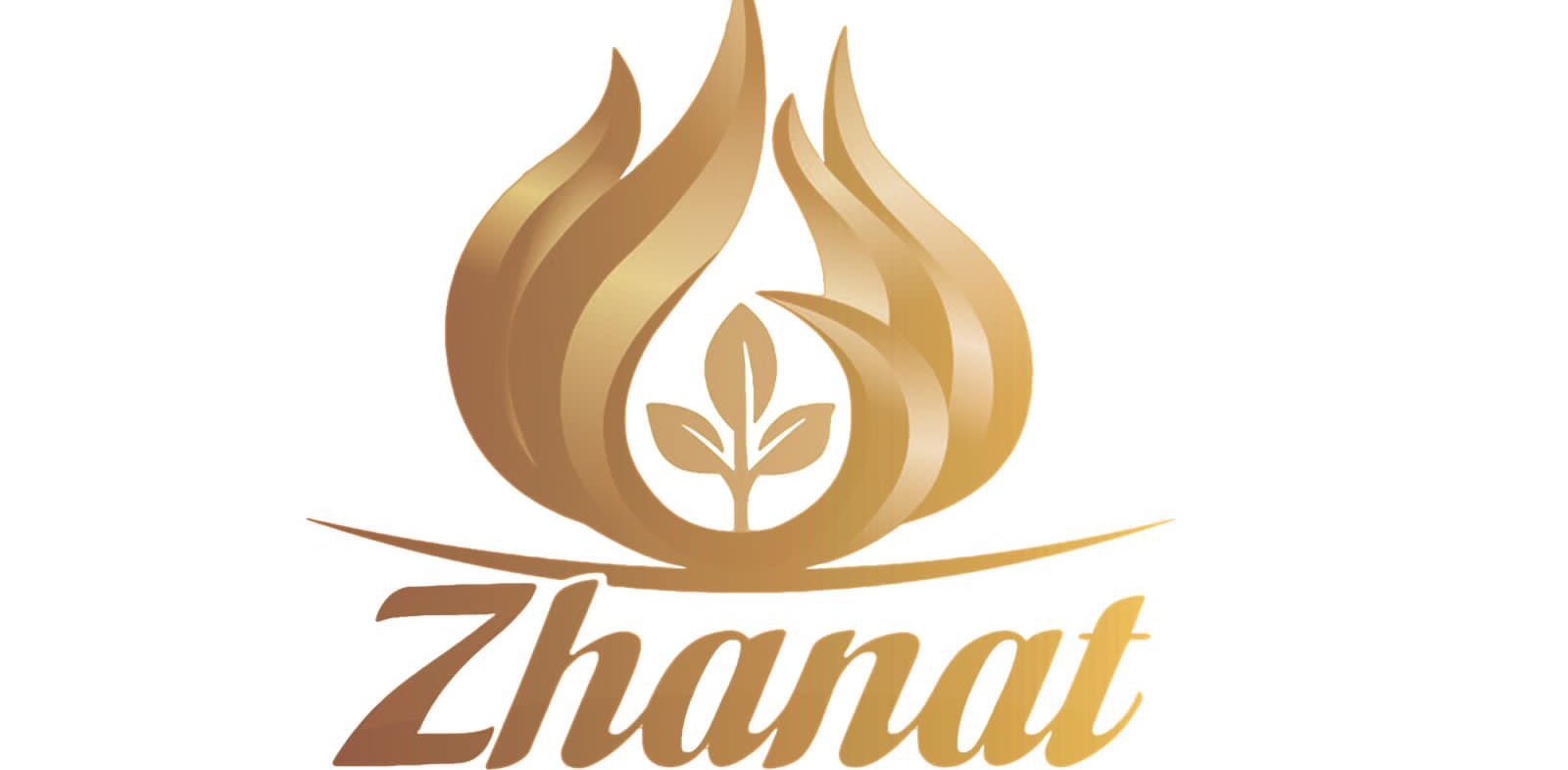 «НАСТАВНИК» ГРУППА 4А banner