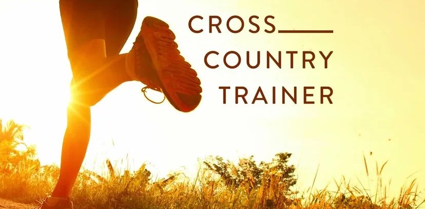 Шагофон banner