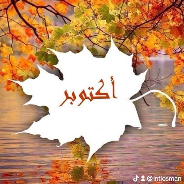 المشي في الهواء الطلق logo