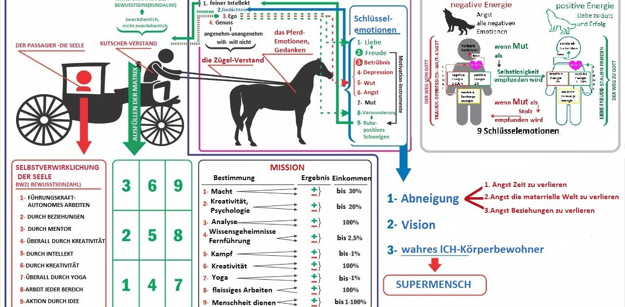 Наставничество по ходьбе banner