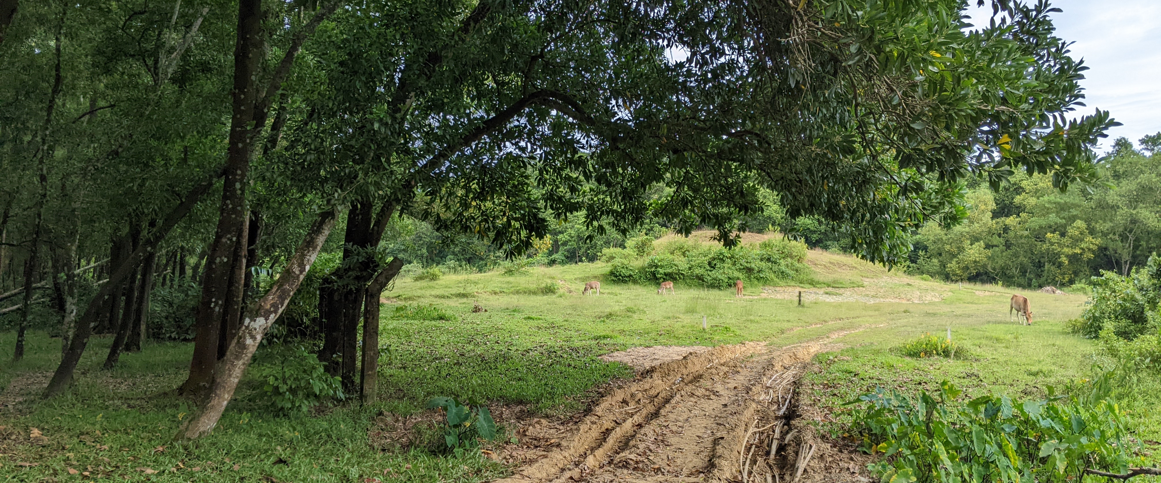 অক্টোবরে হাঁটি banner