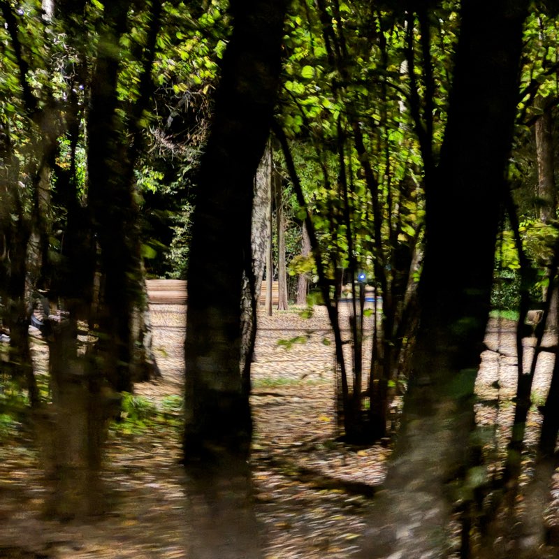 Единошажники🦵🦵 logo