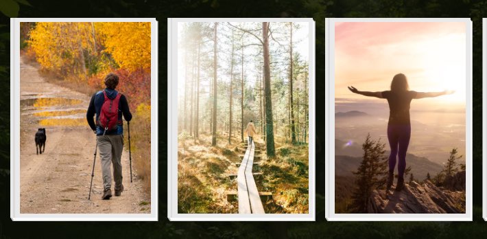 The Walking Collective banner