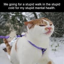 CLO Walking Club!!! logo