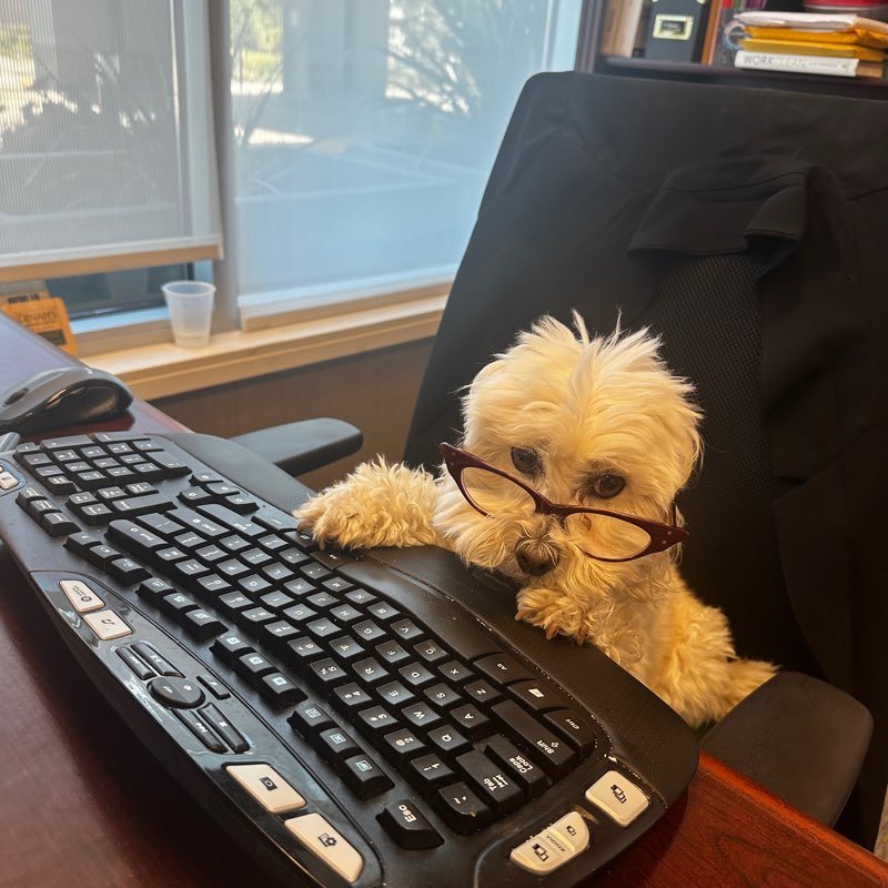 Bellwood Ballers Challenge logo